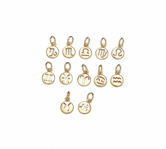 Zodiac Charms